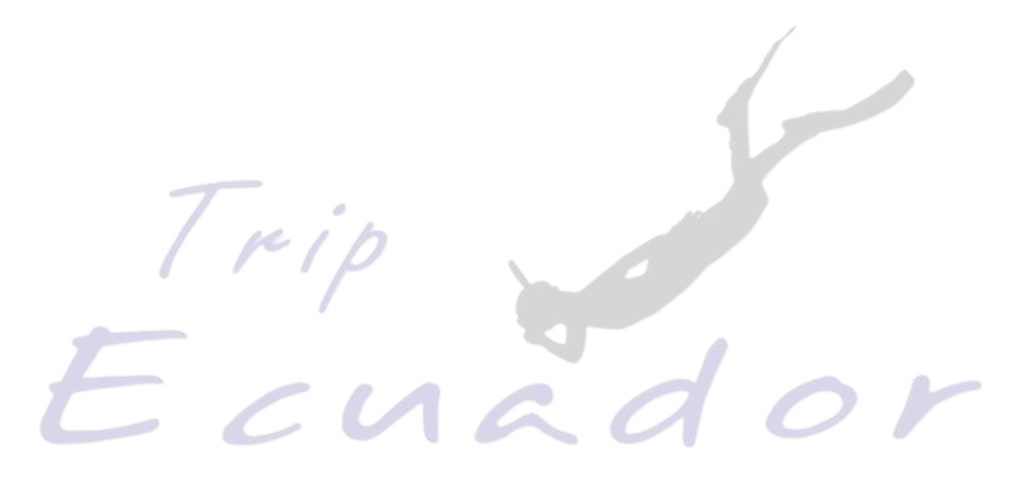 Let's trip to Ecuador Together. Logo