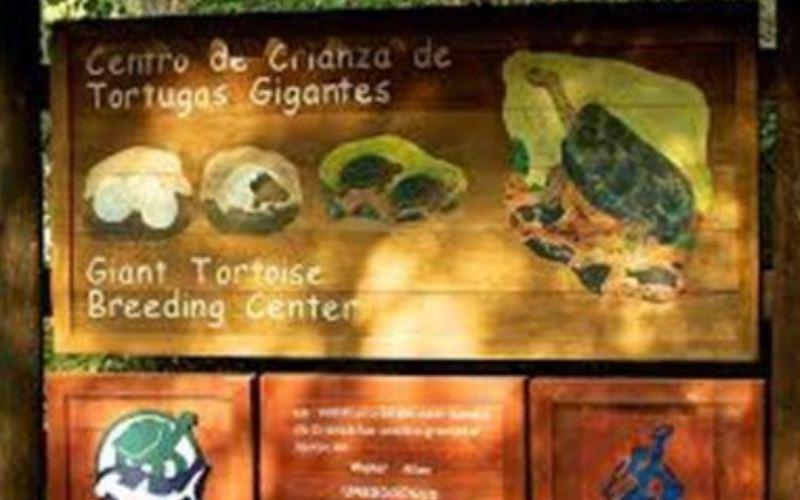 Charles Darwin Station in Santa Cruz, Galapagos Islands.hero2 Charles Darwin Station in Santa Cruz, Galapagos Islands