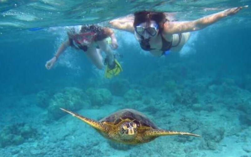 Snorkeling with My Trip Ecuador in Bartolome island